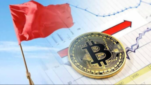 Red Flags to Watch for in Crypto Projects